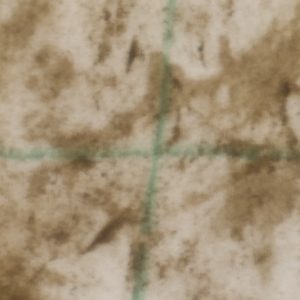 Trial1_Dirty_SoapAndWater