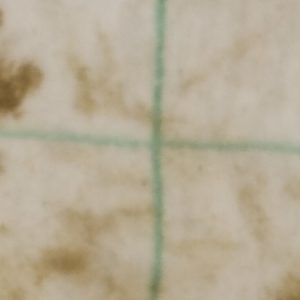 Trial2_Clean_SoapAndWater