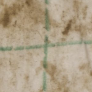 Trial2_Dirty_AlmondMilk