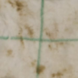 Trial3_Clean_SoapAndWater