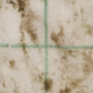 Trial3_Dirty_SoapAndWater